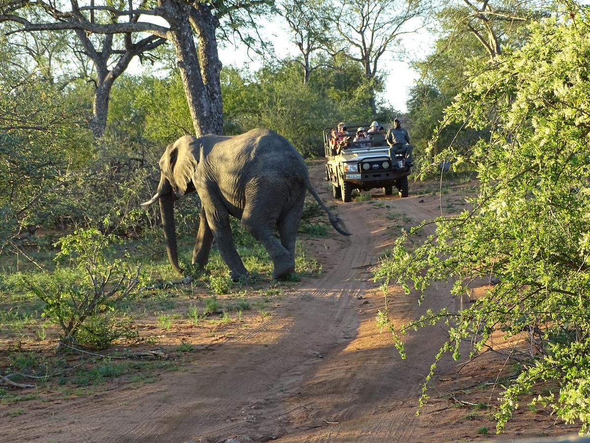 Ku Sungula Safari Lodge บาลูเลเกมรีเซิร์ฟ ภายนอก รูปภาพ